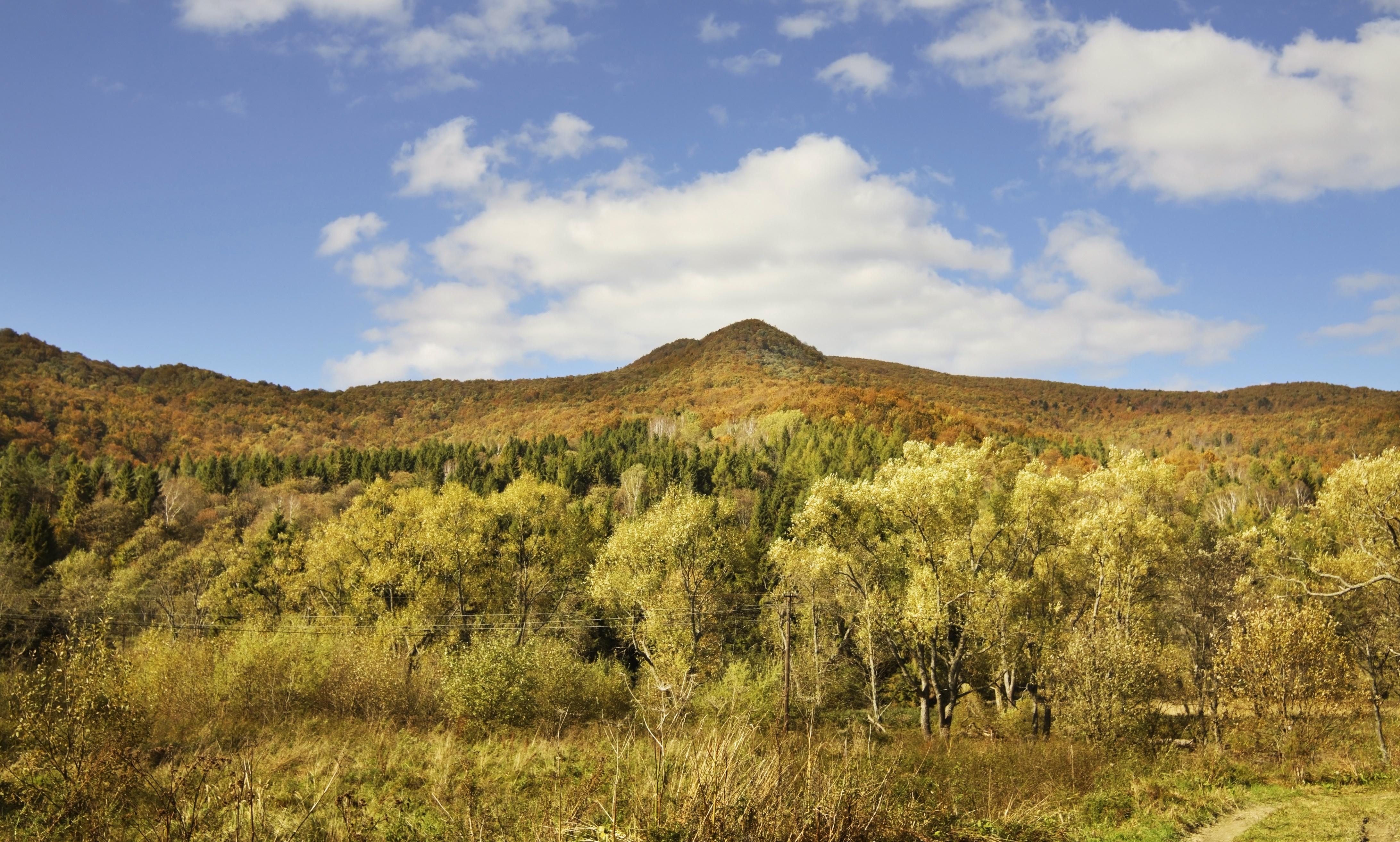 Bieszczady National Park near Wolosate village