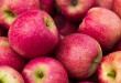 У Польщі перевірили яблука з магазинів Lidl та Biedronka й сказали, де гірші
