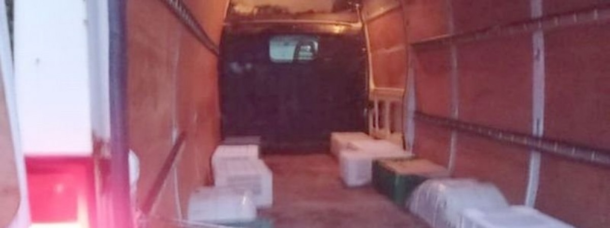 Так українців у Польщі везли на роботу: 29 осіб у вантажному бусі й без сидінь 
