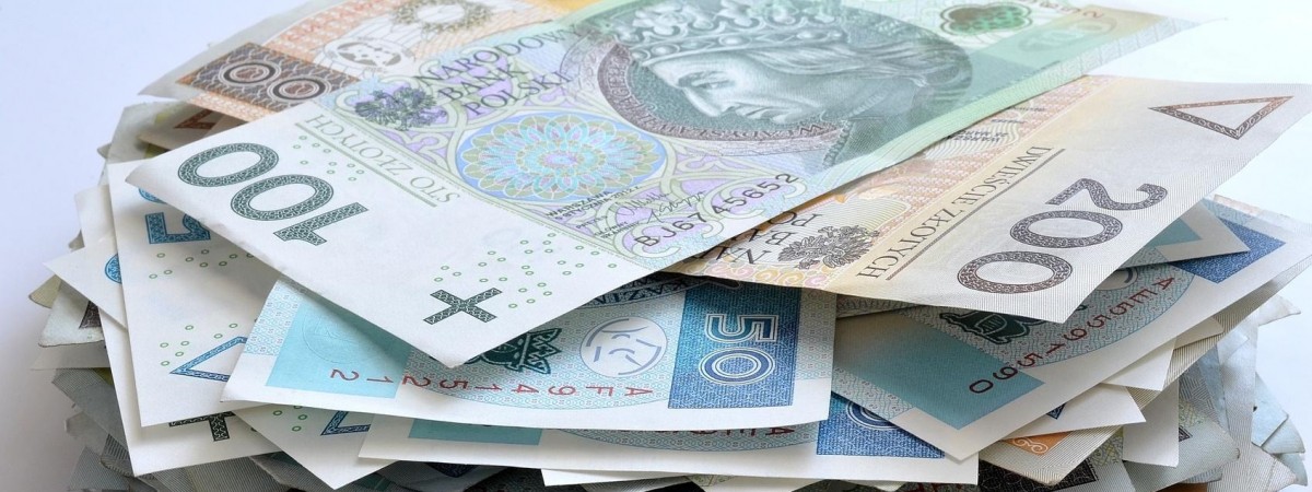 700 зл на заявника і по 600 на членів сім'ї: допомога для біженців з України від німецького фонду