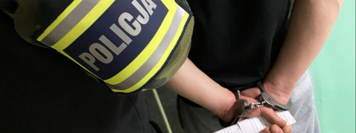 У Польщі за один раз затримали понад 20 українців і відправили їх усіх за грати 
