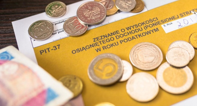 Які є види річних декларацій PIT у Польщі: які найпоширеніші й чим ...