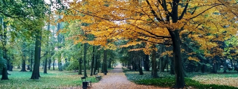 6 чудових парків у Польщі, які доводять, що осінь - це прекрасно!
