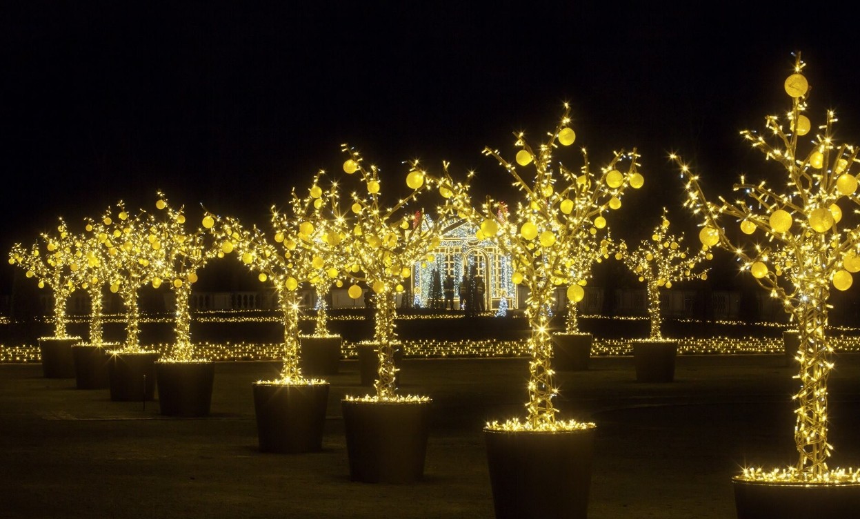 Выставки света в парке Wilanow