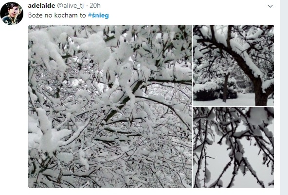 Повідомлення в соцмережі Twitter, користувач adelaide@alive_tj 