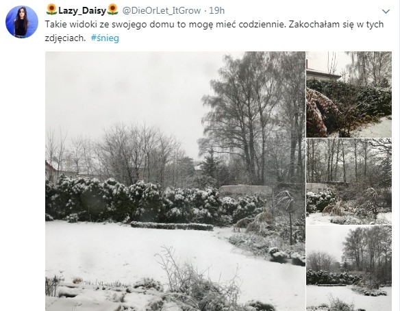 Повідомлення в соцмережі Twitter, користувач Lazy_Daisy