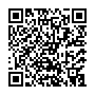 Штукатур в Нідерланди