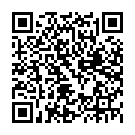 Штукатур в Нідерланди