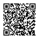 Штукатур в Нідерланди