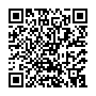 Штукатур в Нідерланди