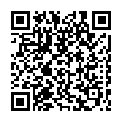 Штукатур в Нідерланди