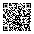 Штукатур в Нідерланди