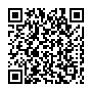 Штукатур в Нідерланди