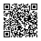 Штукатур в Нідерланди