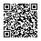 Штукатур в Нідерландах