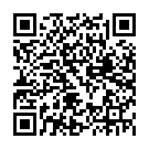 Штукатур в Нідерланди