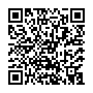 Штукатур в Нідерланди