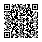 Штукатур в Нідерландах