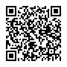 Штукатур в Нідерланди