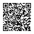 Штукатур в Нідерланди