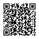 Штукатур в Нідерланди