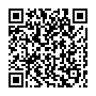 Штукатур в Нідерландах