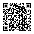 Штукатур в Нідерланди