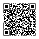 Бригадир на будову в Нідерланди