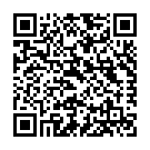 Штукатур в Нідерланди