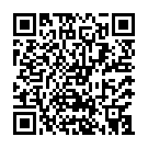 Штукатур в Нідерланди