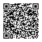 Парный экипаж , водитель , рейсы западная Европа