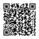 Штукатур в Нідерланди