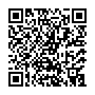 Штукатур в Нідерланди