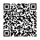 Штукатур в Нідерланди