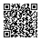 Штукатур в Нідерланди