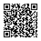 Штукатур в Нідерланди