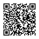 Штукатур в Нідерланди